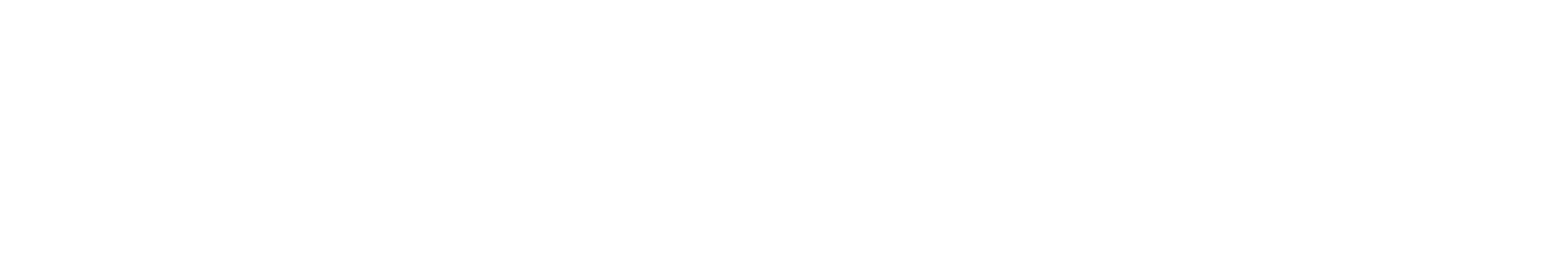 SpaceMint India — domain, build, host, market, launch